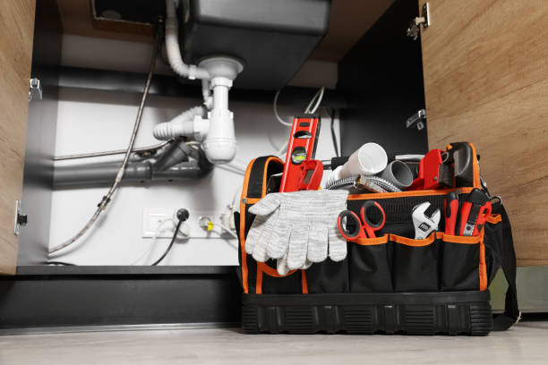 Best Clogged Drain Plumber  in San Ysidro, NM