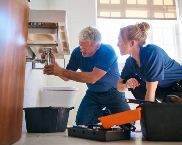 Best Local Plumber Services  in San Ysidro, NM